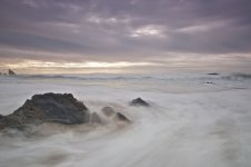 DSC_0174.jpg