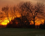 DSC_9389-1-1.jpg