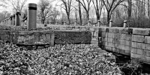 DSC_0002_859.jpg