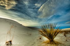_DSC0133_4_5_6_7_8_tonemapped-Edit.jpg