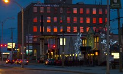 Natural neon.jpg
