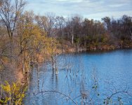 DSC_9418-1-1.jpg