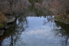Tomifobia river.jpg