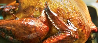 328-turkey.jpg