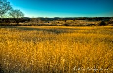 _DSC0173_4_5_6_7_tonemapped.jpg