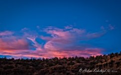 _SSC0088-Edit-2-Edit.jpg