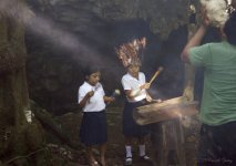 forest music 060.jpg