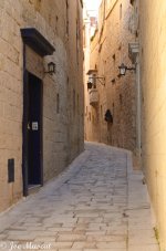 DSC_0006.jpg