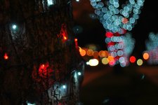 DSC_0123.jpg