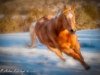 _SSC0080-Edit-Edit.jpg