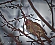 _SSC0148-Edit-Edit-Edit-Edit.jpg