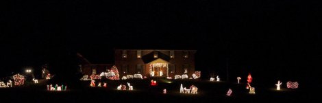 342-Xmaslights.jpg