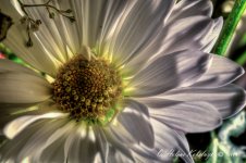 _DSC0025_26_27_28_29_30_tonemapped.jpg