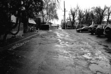 The  alley.jpg