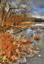 frost and the river.jpg