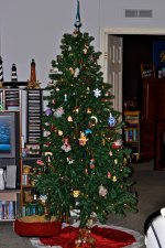 Christmas Tree 2011.jpg