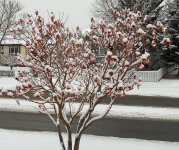 DSC_0077.jpg