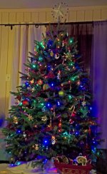 344-Tree.jpg
