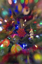 345-tree.jpg