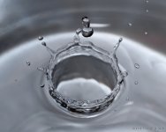DSC_0413-1-1.jpg
