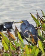 20111213_2336-2.jpg