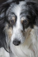 348-Sophie.jpg