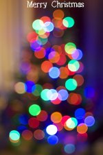 349-Merry Christmas.jpg