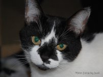 DSC_0453.jpg