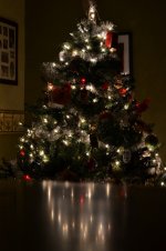 DSC_0106 (533x800).jpg