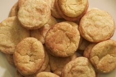 353-Snickerdoodles.jpg