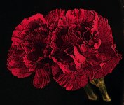 _CSC0012.JPG