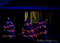 _SSC0305-Edit-2.jpg