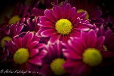 _SSC0317-Edit.jpg