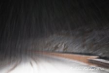 _SSC0324.jpg