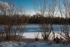 DSC_5991.jpg