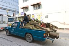 woodtransporter-1.jpg