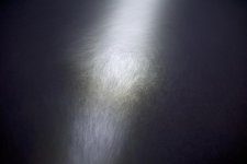 DSC_1727.jpg