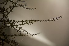 DSC_1745.jpg