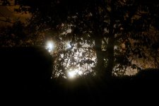 DSC_1760.jpg