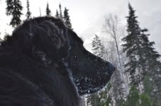 NIK_8779.jpg