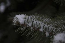 DSC_9123.jpg