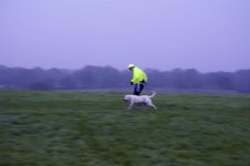 DSC_1140.jpg