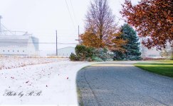 20131214-Driveway.jpg