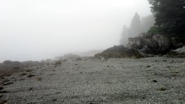 IMG_0502.jpg