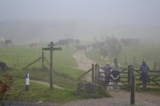 DSC_4960.jpg