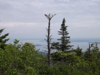 DSCF1472.jpg