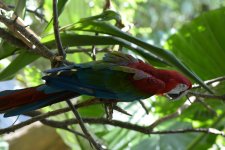 DSC_1549.jpg