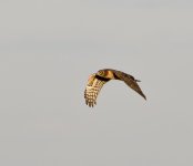 DSC_2922.jpg