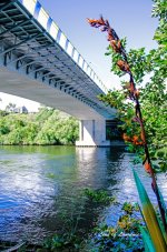 Flax and Bridge lol.jpg