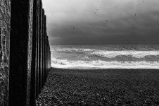 Untitled-3.jpg